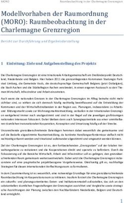 Modellvorhaben der Raumordnung (MORO): Raumbeobachtung in der Charlemagne Grenzregion - Charlemagne ...