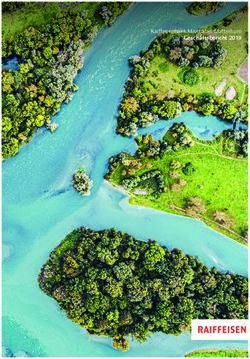 Raiffeisenbank Mischabel-Matterhorn - Geschäftsbericht 2019