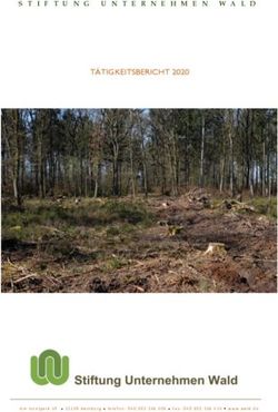STIFTUNG UNTERNEHMEN WALD - TÄTIGKEITSBERICHT 2020
