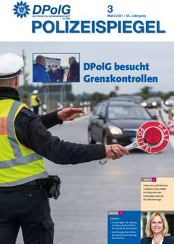 POLIZEISPIEGEL 3 - DPolG SH