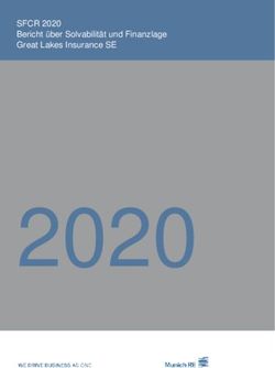 2020 SFCR 2020 Bericht &uuml;ber Solvabilit&auml;t und Finanzlage Great Lakes Insurance SE - Munich Re
