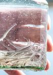Durch die Krise mit den Augen eines Anglers