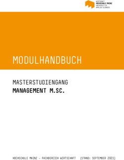 MODULHANDBUCH MASTERSTUDIENGANG MANAGEMENT M.SC - HOCHSCHULE MAINZ ...