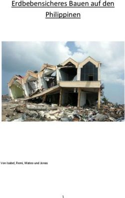 Erdbebensicheres Bauen auf den Philippinen - Von Isabel, Remi, Mateo und Jonas