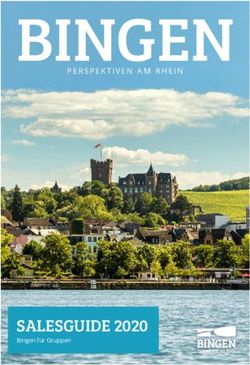 BINGEN - SALESGUIDE 2020 - PERSPEKTIVEN AM RHEIN - Bingen am Rhein