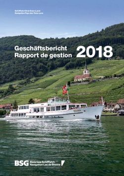 Rapport de gestion 2018 - Bielersee Schifffahrt