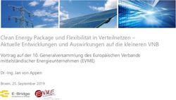 Clean Energy Package und Flexibilit&auml;t in Verteilnetzen - Aktuelle Entwicklungen und Auswirkungen auf die kleineren VNB