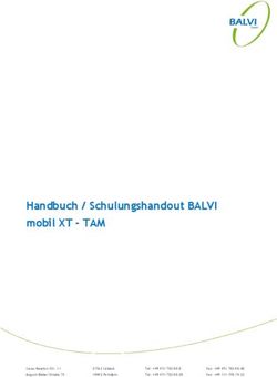 Handbuch / Schulungshandout BALVI mobil XT - TAM