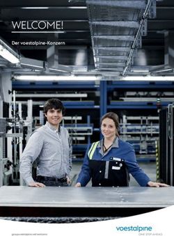 WELCOME! Der voestalpine-Konzern - pagestrip.com