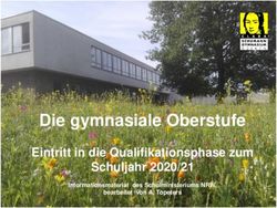 Die gymnasiale Oberstufe - Eintritt in die Qualifikationsphase zum Schuljahr 2020/21