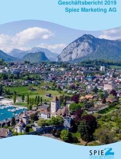 Gesch&auml;ftsbericht 2019 Spiez Marketing AG