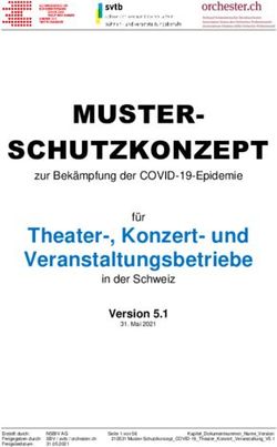 MUSTER-SCHUTZKONZEPT - orchester.ch