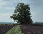 Pfarrblatt - Di&ouml;zese Linz