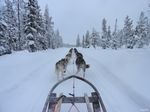 Polarlichter Begleitete Gruppenreise Schwedisch Lappland 31.01 03.02.2020 - Reisebüro Wolter & Reisebüro Karibu 03.02 ...