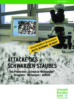 ATTACKE DES SCHWARZEN STAUBES - Das Ph&auml;nomen "Schwarze Wohnungen" I M
