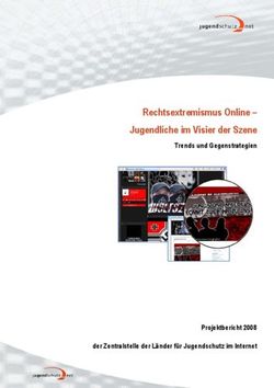 Rechtsextremismus Online - Jugendliche im Visier der Szene - Trends und Gegenstrategien - Projektbericht 2008 der Zentralstelle der L&auml;nder f&uuml;r ...