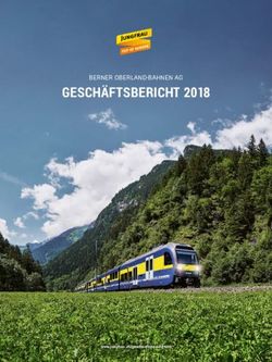 GESCH&Auml;FTSBERICHT 2018 - BERNER OBERLAND-BAHNEN AG - jungfrau.ch