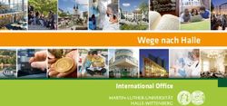 Wege nach Halle International Office - Trio Medien