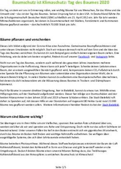 Baumschutz ist Klimaschutz: Tag des Baumes 2020