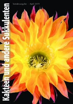 Sonderausgabe April 2019 - Deutsche Kakteen-Gesellschaft e. V.