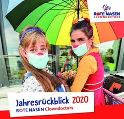 Jahresr&uuml;ckblick 2020 ROTE NASEN Clowndoctors