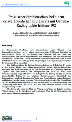 Praktischer Strahlenschutz bei einem ortsver&auml;nderlichen Pr&uuml;feinsatz mit Gamma-Radiographie Iridium-192