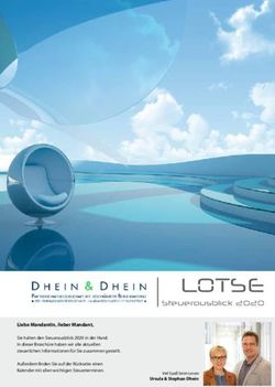 LOTSE Steuerausblick 2020 - Stephan Dhein Steuerberater