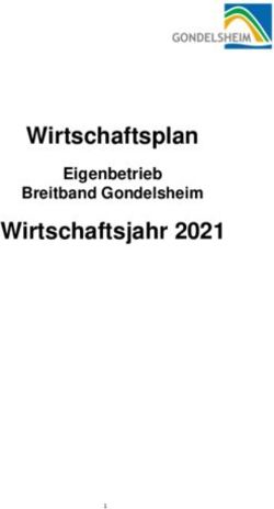 Wirtschaftsplan Wirtschaftsjahr 2021 - Eigenbetrieb Breitband Gondelsheim - Gemeinde Gondelsheim