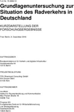 Grundlagenuntersuchung zur Situation des Radverkehrs in Deutschland