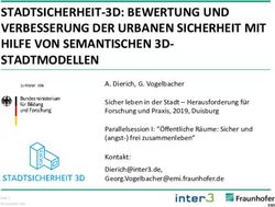 STADTSICHERHEIT-3D: BEWERTUNG UND VERBESSERUNG DER URBANEN SICHERHEIT MIT HILFE VON SEMANTISCHEN 3D- STADTMODELLEN