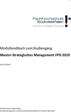 master thesis strategisches management