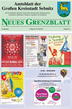 Amtsblatt der Gro&szlig;en Kreisstadt Sebnitz - Amtsblatt der ...