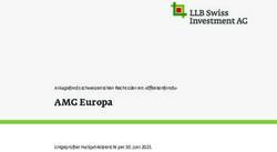 AMG Europa - AMG Fondsverwaltung AG