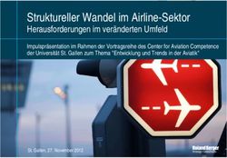 Struktureller Wandel im Airline-Sektor - Herausforderungen im ver&auml;nderten Umfeld