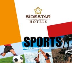 SPORTS LEAVE EVERYTHING ELSE BEHIND - Side Star Hotels