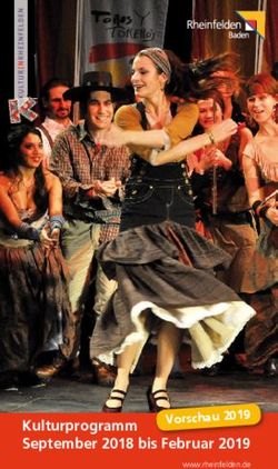 Vorschau 2019 Kulturprogramm September 2018 bis Februar 2019 - Stadt Rheinfelden