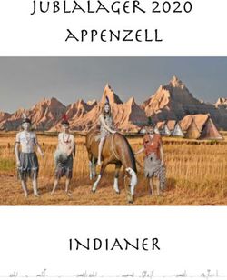INDIANER - JublaLager 2020 appenzell - Jubla Plaffeien