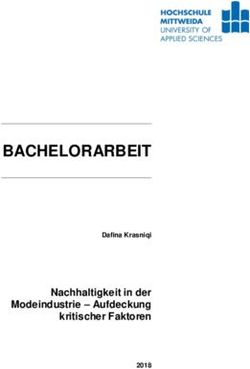 BACHELORARBEIT Nachhaltigkeit in der Modeindustrie - Aufdeckung kritischer Faktoren