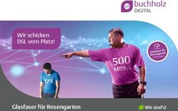 Wir schicken DSL vom Platz! - Glasfaser f&uuml;r Rosengarten