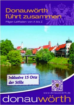 Donauw&ouml;rth - Donauw&ouml;rth f&uuml;hrt zusammen - Donauw&ouml;rth
