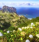 Ganzjährige Blumenpracht im Atlantik - Flugreise nach Madeira vom 27. Februar bis 6. März 2022 Flüge ab/bis Nürnberg inklusive 7 Nächte im ...