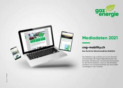 Mediadaten 2021 cng-mobility.ch - Das Portal f&uuml;r klimafreundliche Mobilit&auml;t