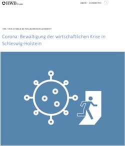 Corona: Bewältigung der wirtschaftlichen Krise in Schleswig-Holstein - EIN- UND AUSBLICKE IM KRISENMANAGEMENT KRISE + SANIERUNG - Die HWB-Gruppe