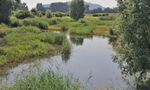 Landwirtschaft und Naturschutz als Partner im "Gemüsegarten der Schweiz"