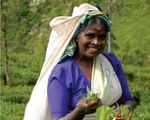 Sri Lanka Urlaub Wolkenm&auml;dchen 2019 - Accept Reisen