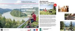 Entdecken und Staunen - Ausflugstipps.at