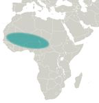 SUBSAHARA-AFRIKA STRATEGIE 2021-2024 - RELIEFWEB