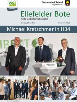 Ellefelder Bote Michael Kretschmer in H34 - Gemeinde Ellefeld