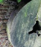 Maifest 2020 in Stommeln 26. April - 1. Mai - Maigesellschaft Stommeln