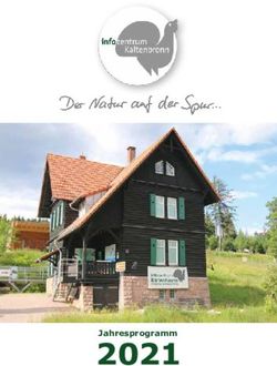 Jahresprogramm - Bad Wildbad